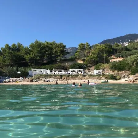 The Cerulean Villa. The Concord Of Blue And Green! ヴィラ